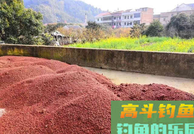 酒糟打窝的用法与用量是多少？全方位解答