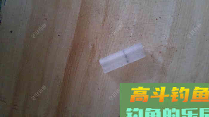 用剩的饵料怎么保存，一招教你自制剩饵颗粒