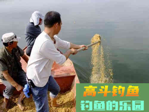 打窝与做窝，具体的做法反映出你是不是发烧友