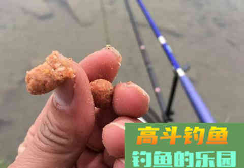 温度升高鱼儿食欲不佳？换种饵料配方给它们“开开胃”