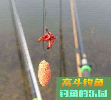 秋季垂钓这样搭配饵料，不愁空军