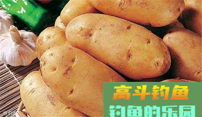 蔬菜，瓜果都可以用来做鱼饵，你造吗？