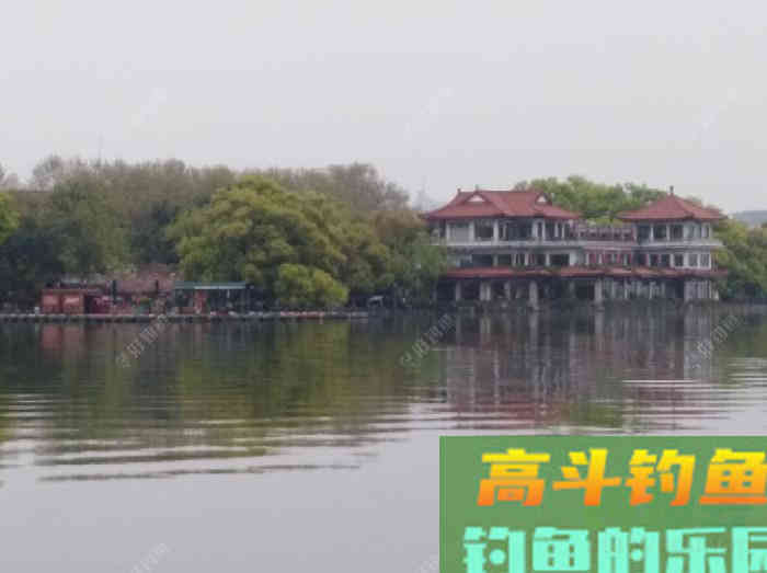 关于散炮的性能和作用