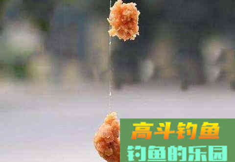 蚯蚓饵怎么钓鱼？钓鱼时两种错误你都知道吗？