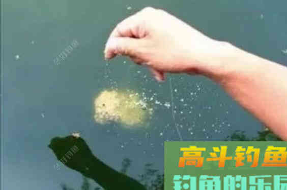 聊下饵料与雾化问题，来自高手的总结