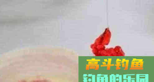 蚯蚓做饵没鱼口，不妨加工一二