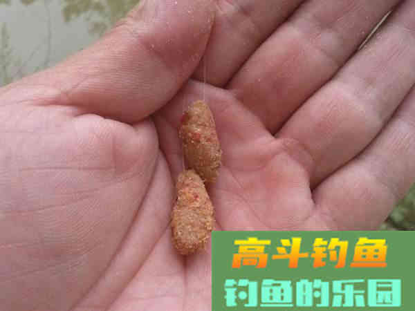 饵料没有开好，别忙着喂鱼，还能抢救一下