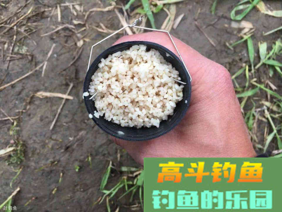 打窝后不上鱼的原因！不讲究方法再多的窝料都是喂鱼