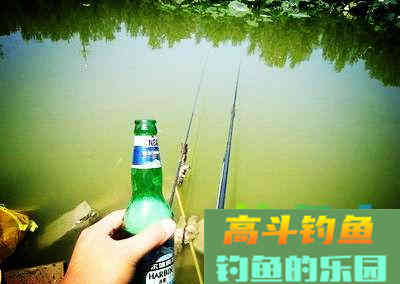 夏季用啤酒开饵，会有意想不到的效果