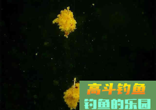 钓鱼时，饵料状态如何根据鱼情转变？