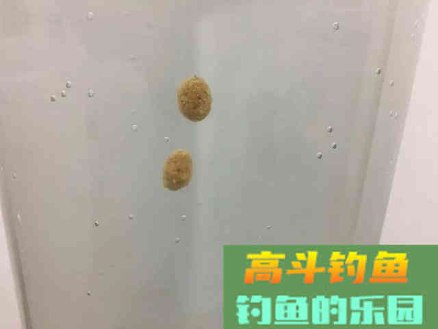 黑坑开散炮，如何配比，该如何上饵抛竿？自己经验