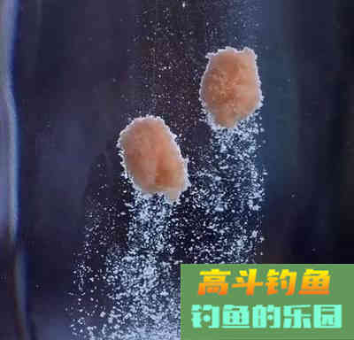 钓鱼想爆护，用饵很关键（上）