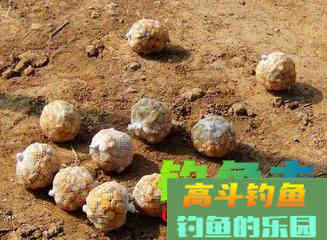 钓鱼打窝要注意些什么事项? 钓鱼打窝要注意些什么事项?