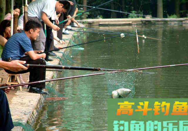酒糟打窝的用法与用量是多少？全方位解答