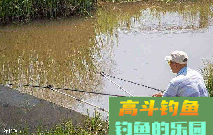 钓鱼多久换饵才好？