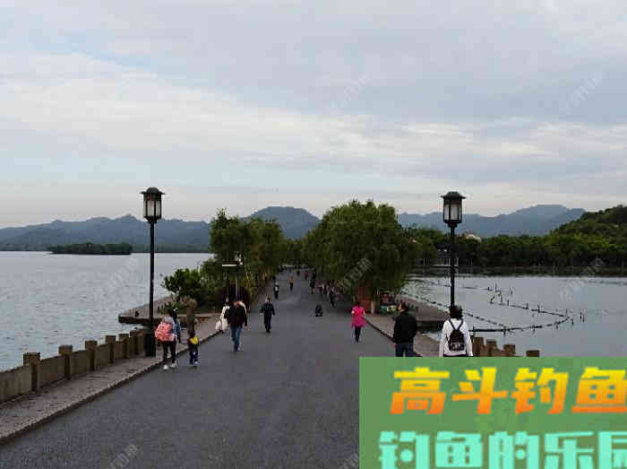 聊下饵料与雾化问题，来自高手的总结