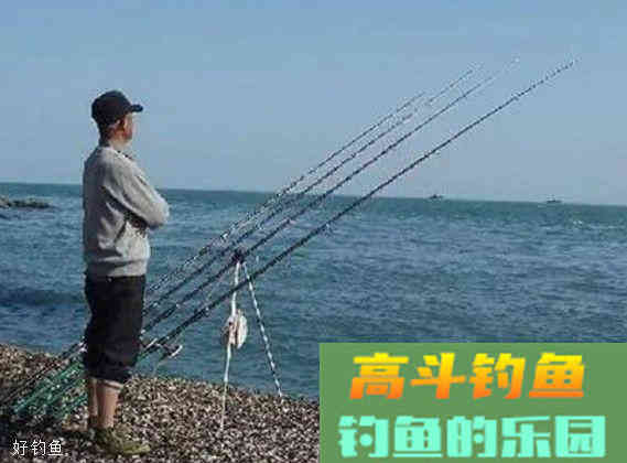 老钓友十年打窝技巧，简单又好记专门垂钓目标鱼