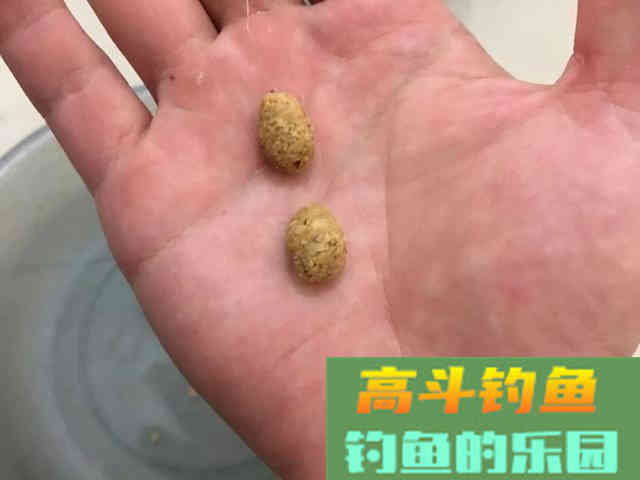 黑坑开散炮，如何配比，该如何上饵抛竿？自己经验