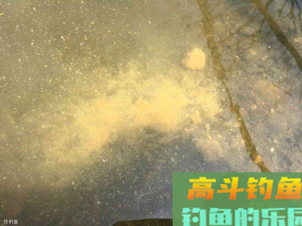 玉米挂钩诱鱼性太差？穿上一条蚯蚓后，玉米就“活”了