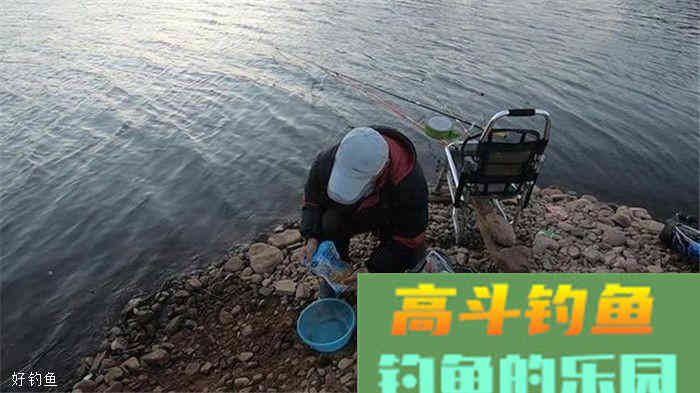 为什么不要以饵料的香型来判断适合什么鱼？这里有答案