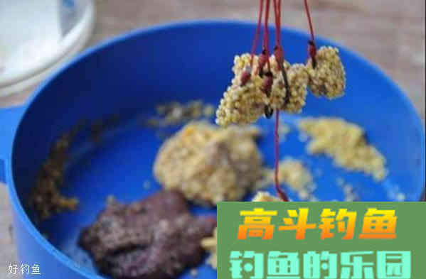 四个诱鱼打窝技巧，天天野生鱼汤喝不完