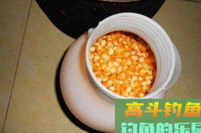 麦粒用了多年，只要加一点它，鲫鲤草轮番上钩