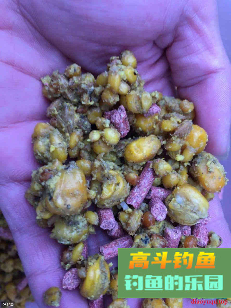 打窝后不上鱼的原因！不讲究方法再多的窝料都是喂鱼
