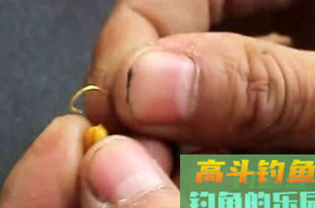 钓大板鲫要选择合适的饵料