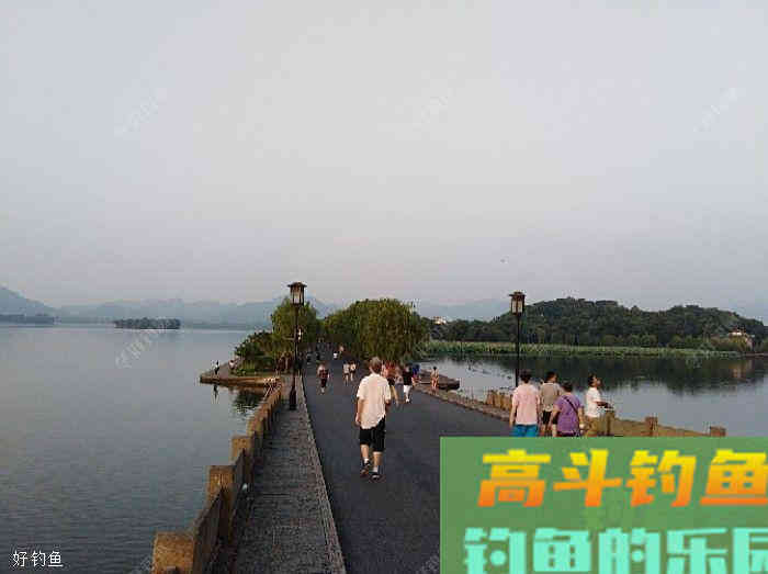 打窝的作用在于实施诱与钓的精髓