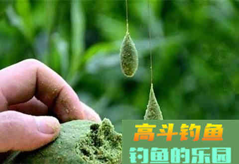 钓鱼上饵的三个好方法