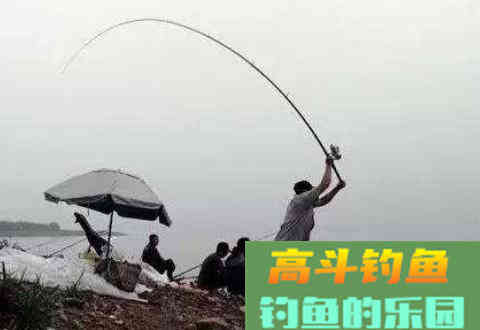 冬季钓鱼怎么打窝？