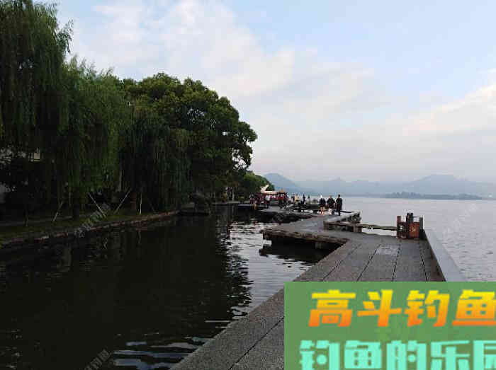 如何有针对性地打窝布窝？这关系到作钓的成与败！