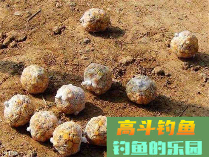 冬天钓鱼如何用饵，看民间高手的全面分析