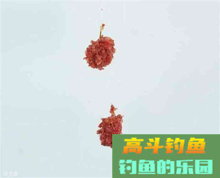 饵料技巧千千万，钓鱼人你知多少？