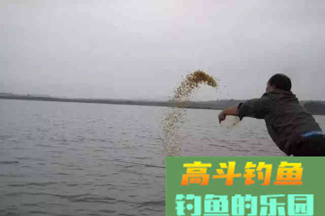 打窝补窝需要注意的细节，做的越到位发窝越快