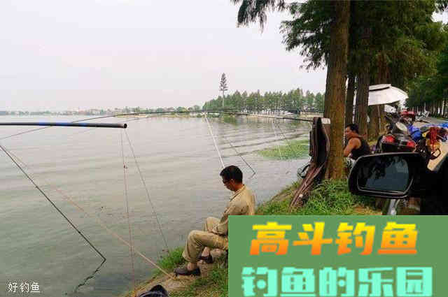 水库钓鲤鱼的用饵思路和技巧