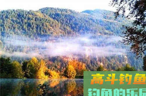 秋季南北地域的鱼饵使用心得