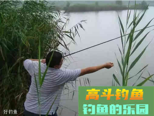野钓饵料不足，可以尝试这样做