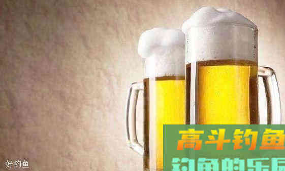 啤酒开饵料钓鱼效果确实牛，但是什么鱼用什么啤酒你知道吗？