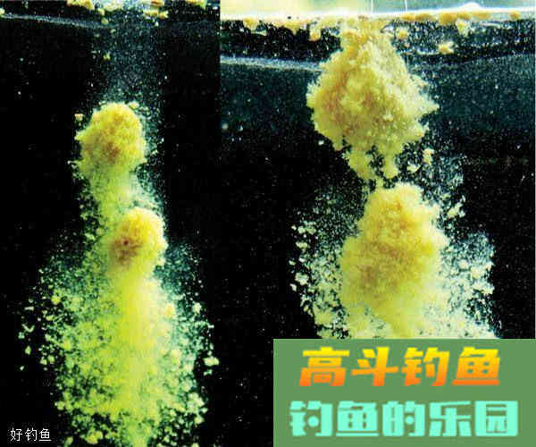 散炮饵的使用技巧，黑坑钓鱼必备