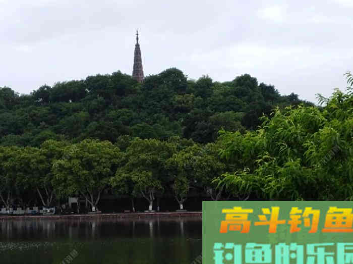 聊下饵料与雾化问题，来自高手的总结