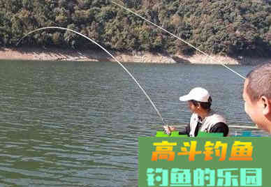 冬季钓鲫鱼鲤鱼打窝四字真言，学会之后上大物不是难题