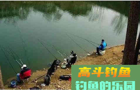 野钓水中无鱼，不妨试下这款饵料