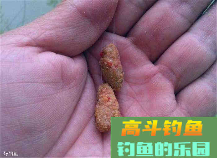 搓饵技巧，没有你想象中那么简单