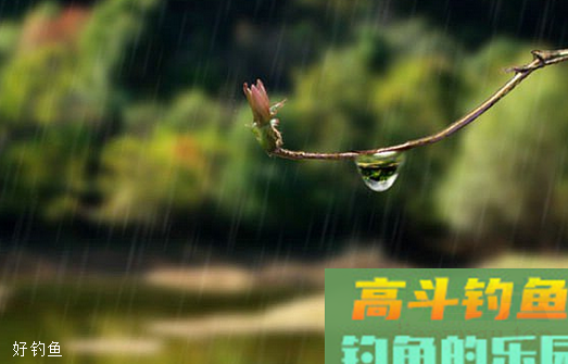 夏季钓鱼用饵需要注意的三个事项