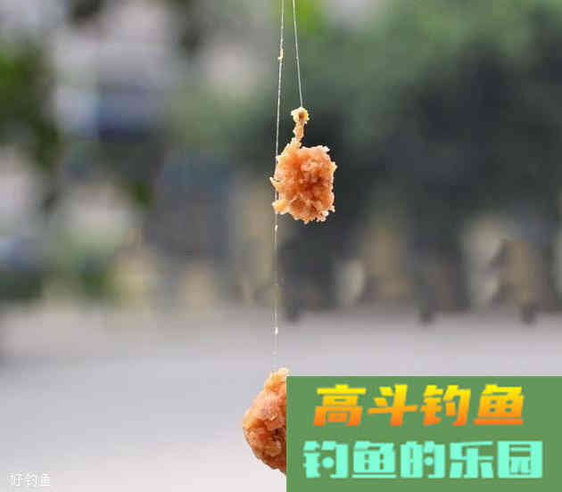 钓鱼新手一定要学的开饵技巧