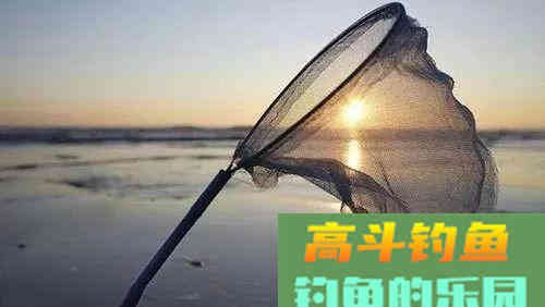 打窝养窝和补窝，三种技巧不能落下一样