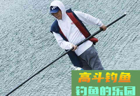 夏季钓鱼留窝聚鱼，这四点因素至关重要