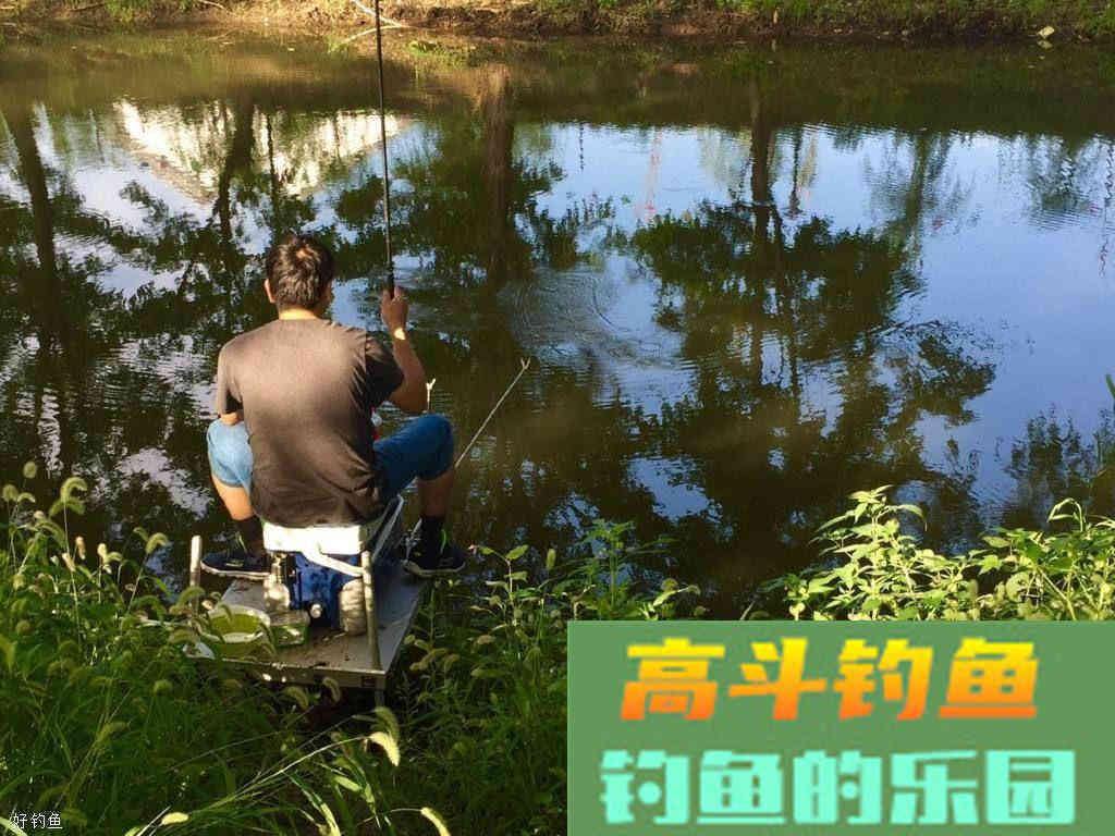 什么情况下钓鱼要打窝？分享黑坑和野钓钓鱼的打窝技巧
