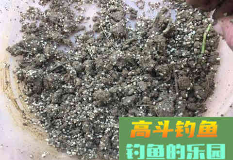 打窝后不上鱼的原因！不讲究方法再多的窝料都是喂鱼